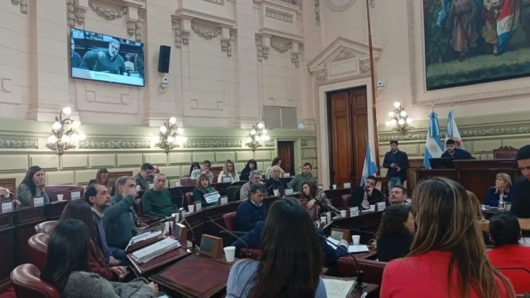 Sobre el Articulo 11 de la Constitución provincial: Les exigimos a las y los convencionales que escuchen lo que la sociedad les viene pidiendo