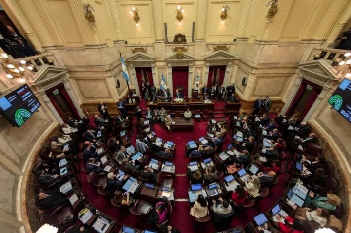 El Senado rechazó definitivamente el veto a la ley de discapacidad