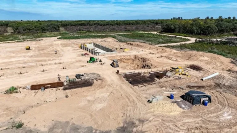 Provincia intervino para que cese el desmonte de un bosque nativo en el departamento 9 de Julio