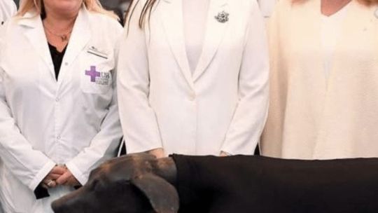 Victoria Villaruel se suma a la moda de las fotos con perros
