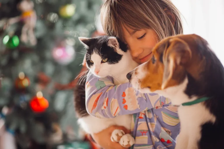 La importancia de vacunar a perros y gatos frente al aumento de mordeduras en Argentina