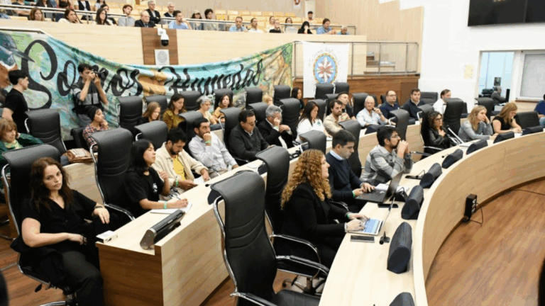 Incendios en las islas: Rosario exigió sanciones y más controles en la audiencia pública en el Concejo