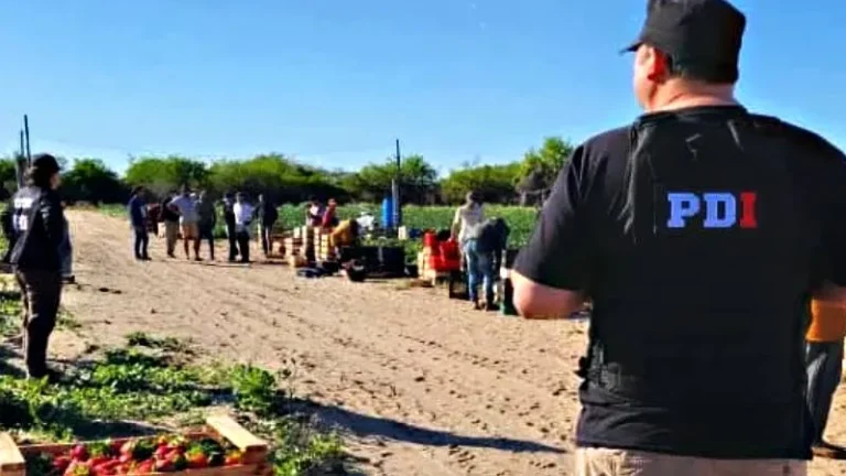 Explotación laboral en Arroyo Leyes: largas jornadas de trabajo, pagos exiguos y todo en negro