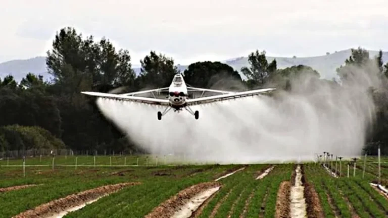 Alerta ambiental contra las fumigaciones sin límites: Un proyecto criminal