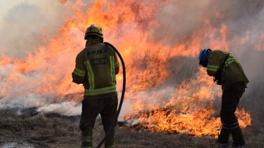 Incendios en Córdoba: aunque bajaron 80% las hectáreas afectadas, el fuego sigue devorando bosque nativo