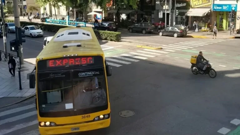 Condenaron a las empresas Rosario Bus, Azul y Continental por lesiones a una pasajera de colectivo