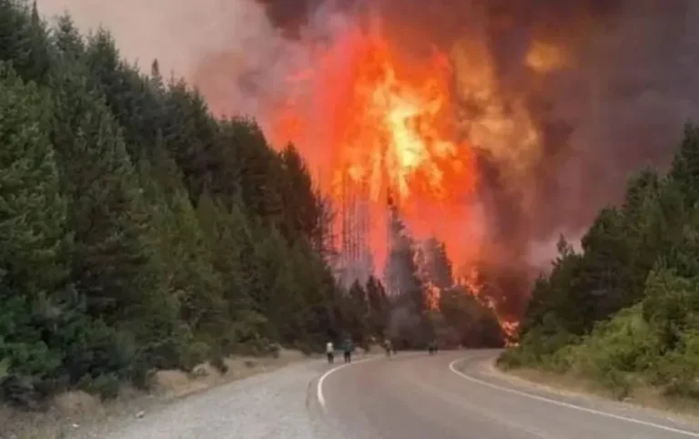 El fuego en Chubut no cesa y piden extrema precaución para circular por Ruta 40
