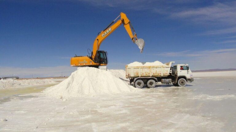 Festeja la minería: el precio del litio superó los u$s20.000 y ya duplica el valor de octubre