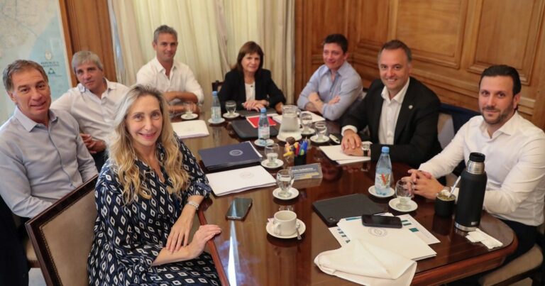 Por qué el Gobierno se apuró con el proyecto penal juvenil: el crimen que sacudió a la Rosada