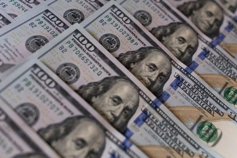 Dólar oficial hoy, dólar blue hoy: a cuánto cotiza este miércoles 11 de febrero