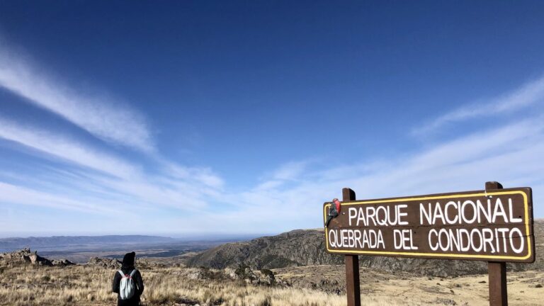 Sobrevoló un parque nacional, lo denunciaron por daño ambiental y fue sancionado con una inusual medida