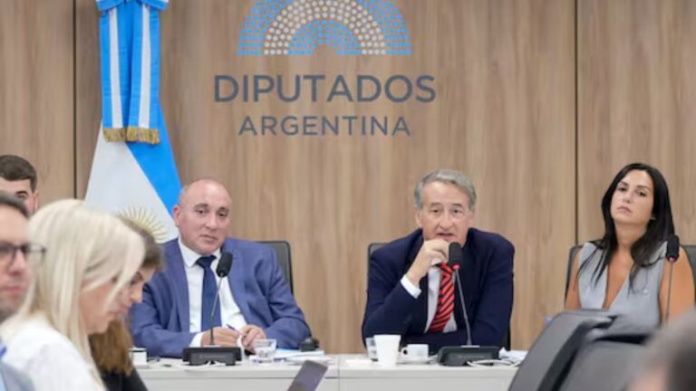 Audiencia por Ley de Glaciares: con más de 85.000 inscriptos, el Gobierno no deja exponer ni al 0,5%