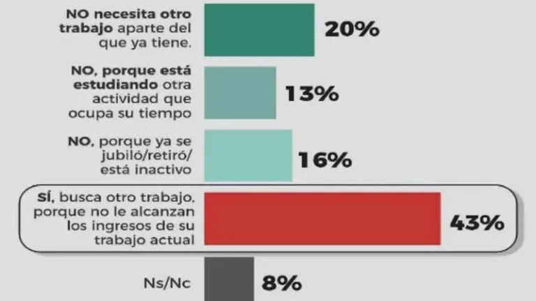 Persona buscando trabajo en computadora