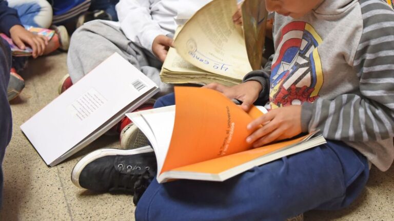 Niño leyendo un libro en un aula, representando la campaña por la alfabetización.