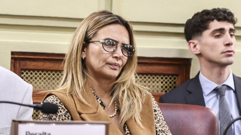 Retrato de la diputada provincial Amalia Granata