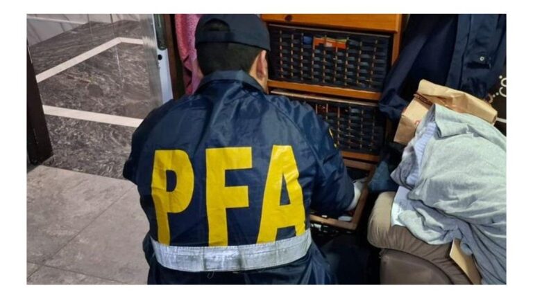 Policía Federal durante allanamiento por ciberdelitos