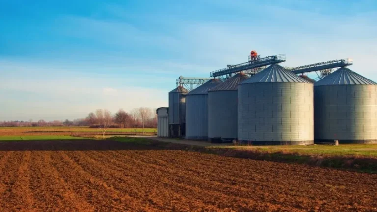 Campo de soja y silos en Santa Fe, Argentina