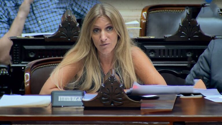 Diputada santafesina Florencia Carignano en el Congreso