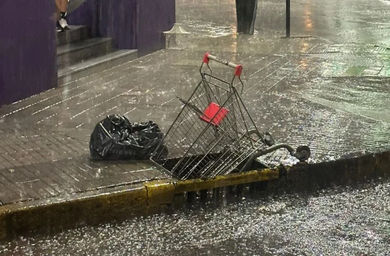 Calle de Rosario con ramas caídas y charcos tras las lluvias del viernes.