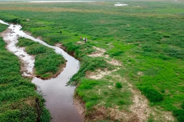 Vista aérea del Delta del Paraná en la zona de Victoria, Santa Fe