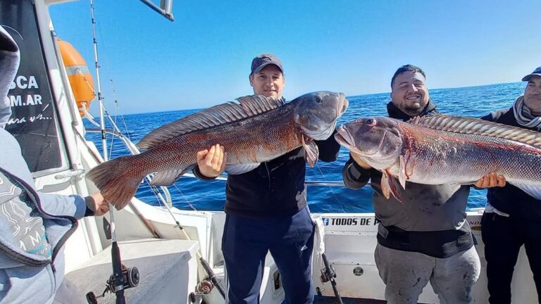 Embarcación de pesca en el mar con pescadores a bordo