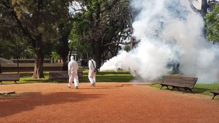 Mosquitos en un parque de Santa Fe