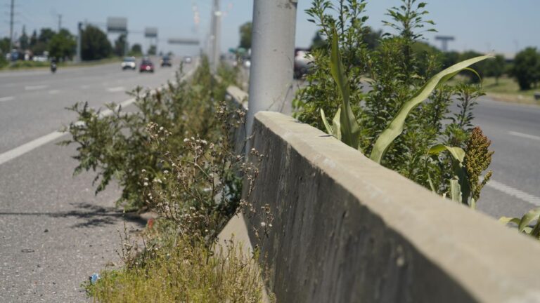 Estación de servicio en Santa Fe con cartel informativo sobre impuestos al combustible